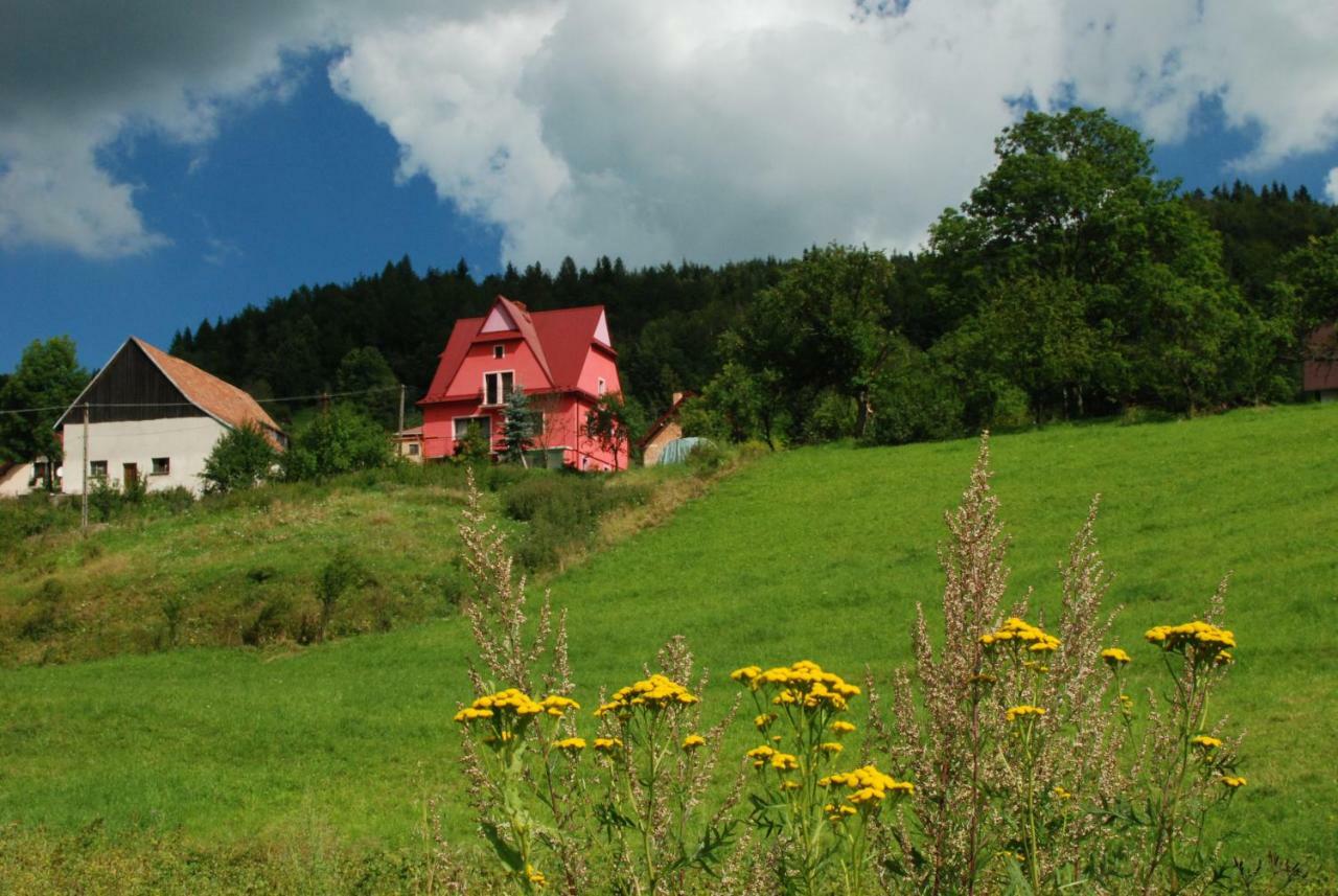 Malinowy Domek Villa Mlynczyska Exterior foto