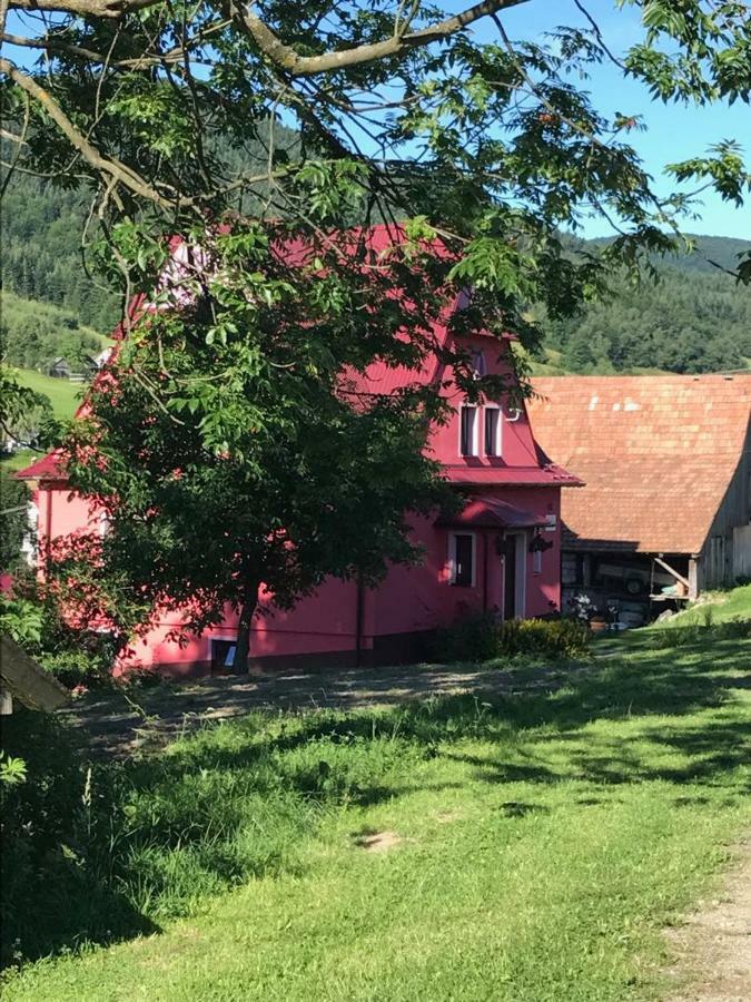 Malinowy Domek Villa Mlynczyska Exterior foto